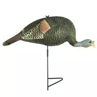 Bugging Hen Decoy