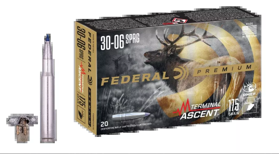 Federal Premium Terminal Ascent 30-06 Springfield 175gr 20rd - Box or Case