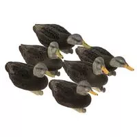 Flight Flocked Black Duck