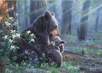 Jigsaw Puzzle In Tin 1000 Piece - Bear Scene