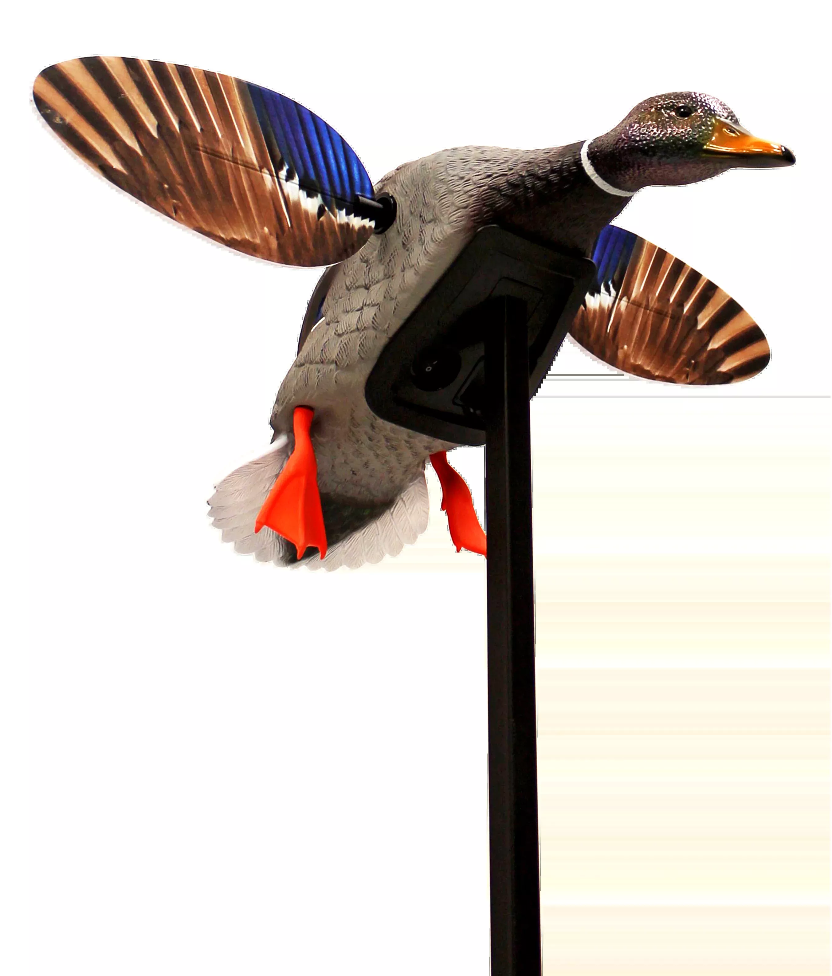 Mojo Elite Series Mini Mallard Drake Motion Decoy - Multi-Color Plastic