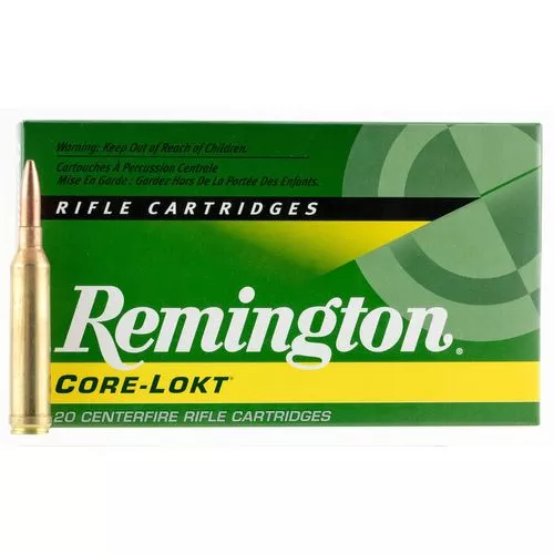 Remington Standard Rifle 29493
