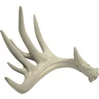 Signature Product Group Browning Antler Chew Toy Tpr