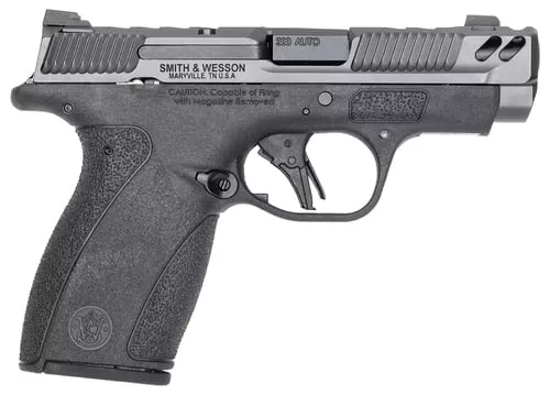 SW PC BODYGUARD 2.0 NTS CARRY 380ACP 3.1 10/12R