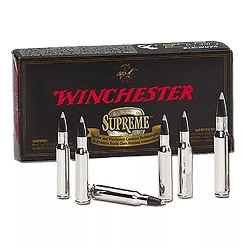 Winchester Ammo SBST243SS Ballistic Silvertip243 WSSM 55 gr Polymer Tip 20 Bx/ 10 Cs