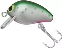 Yo- Zuri R1217- Rt Snap Beans, Color, Rainbow Trout, 25mm 1 "